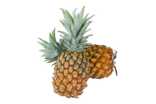 凤梨