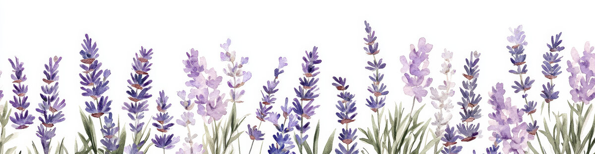 水彩薰衣草花卉边框设计图