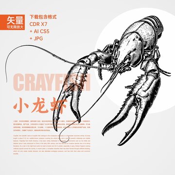 小龙虾