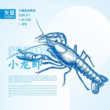 小龙虾木刻画