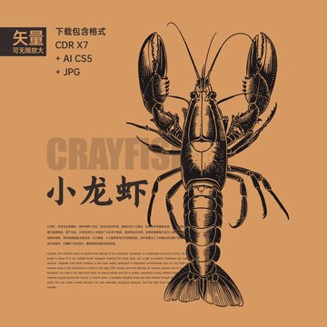 龙虾