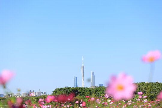 广州塔