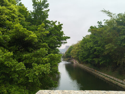 风景