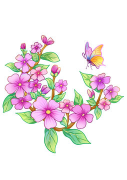 长春花