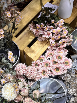 粉色小菊
