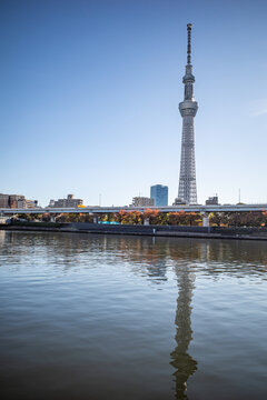 日本东京晴空塔风景