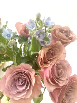 玫瑰花束