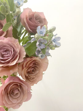 月季花束