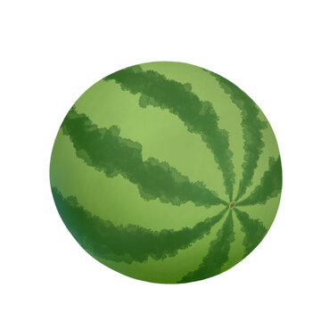 一个西瓜的后侧面