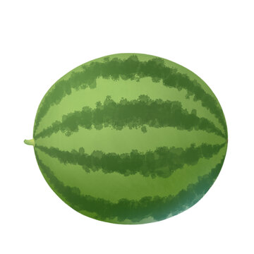 一个西瓜侧面