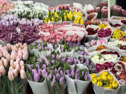 云南昆明斗南花卉市场鲜切花玫瑰花交易市场