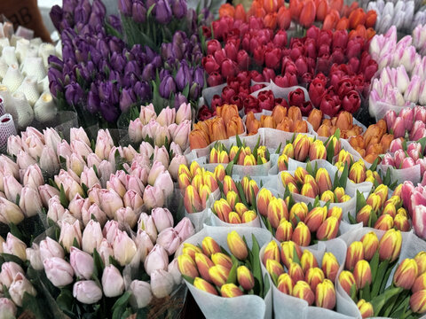 云南昆明斗南花卉市场鲜切花玫瑰花交易市场