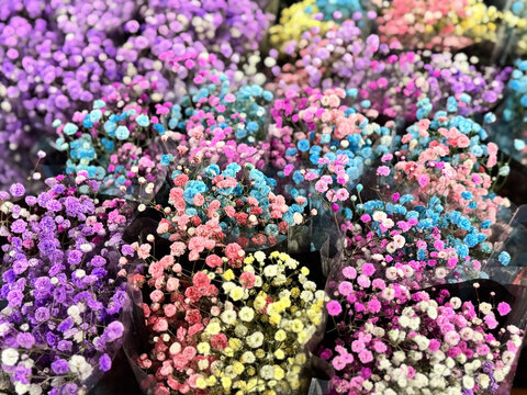 云南昆明斗南花卉市场鲜切花玫瑰花交易市场