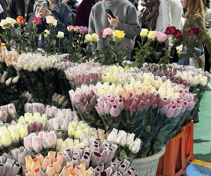云南昆明斗南花卉市场鲜切花玫瑰花交易市场