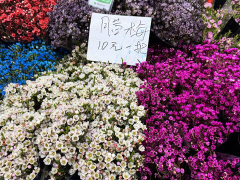 云南昆明斗南花卉市场鲜切花玫瑰花交易市场
