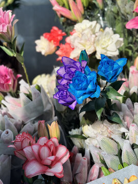 云南昆明斗南花卉市场鲜切花玫瑰花交易市场