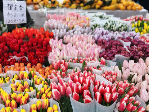 云南昆明斗南花卉市场鲜切花玫瑰花交易市场
