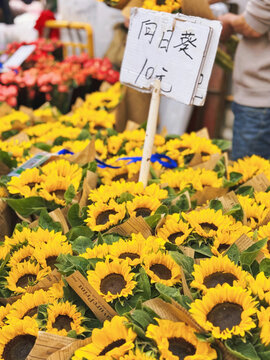 云南昆明斗南花卉市场鲜切花玫瑰花交易市场