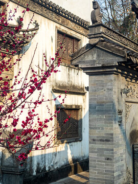 老门东徽派建筑与红梅