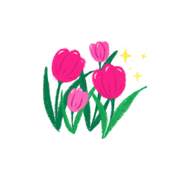 郁金香花丛插画