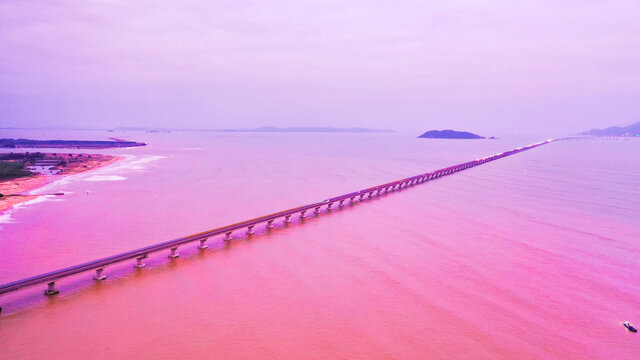 深圳湾公路大桥