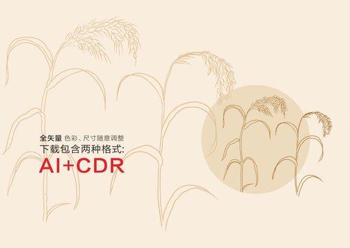 稻穗手绘稻穗插画