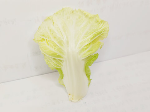 白菜叶子