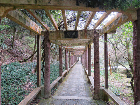 中国江西九江庐山旅游风光