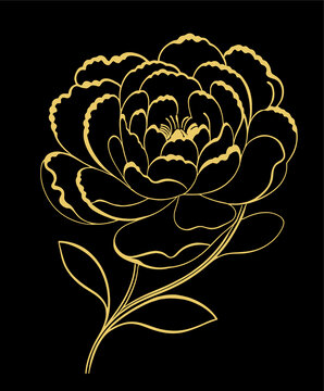 金色线描牡丹花矢量图eps格式