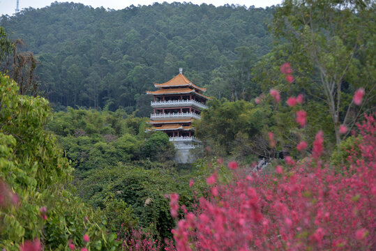 桃花