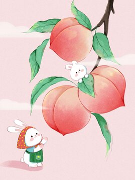 水蜜桃包装插画