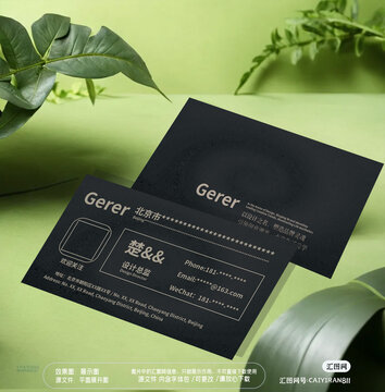 高档装修设计总监名片