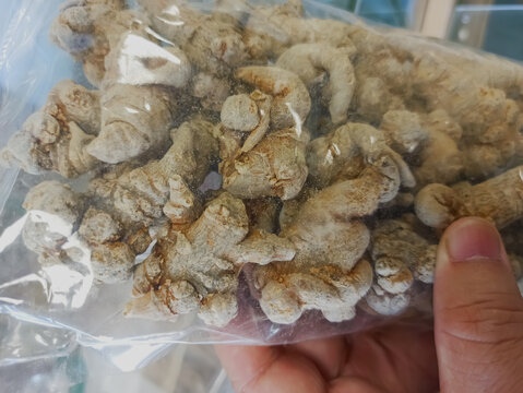霉变田七