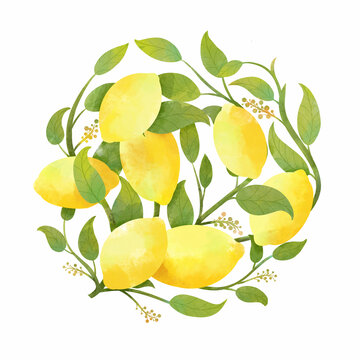 手绘柠檬元素平风格插画素材