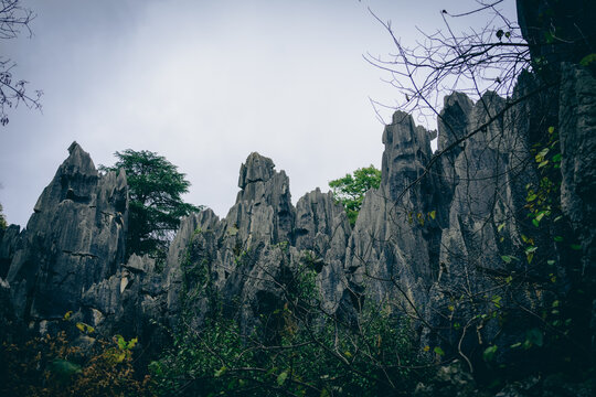 云南石林风光
