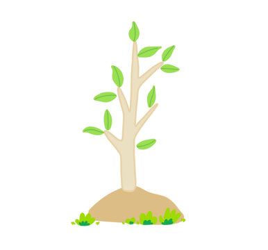 小树苗植树节插画