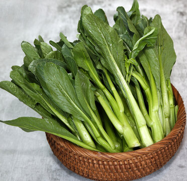 广东菜心