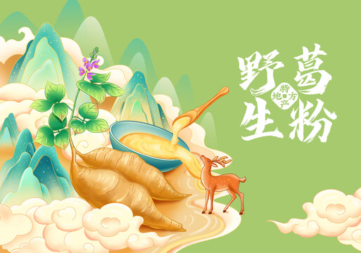 葛根插画