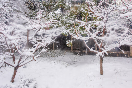 济南趵突泉公园雪景