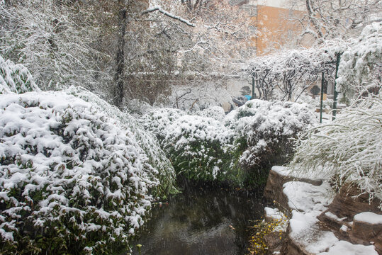 济南趵突泉公园雪景