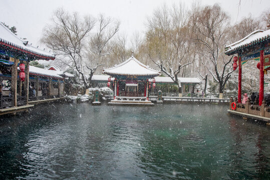 济南趵突泉雪景