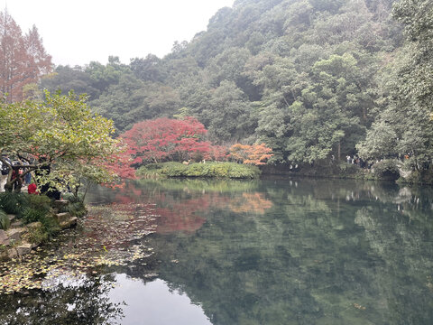 九溪