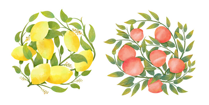 手绘扁平风格柠檬桃子元素包装插画