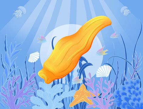 鱼胶海底世界手绘