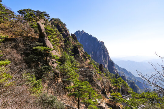 青山