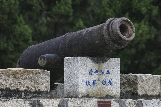 铁模铁炮