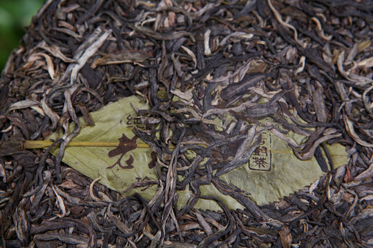云南普洱茶生茶