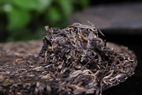 云南普洱茶生茶