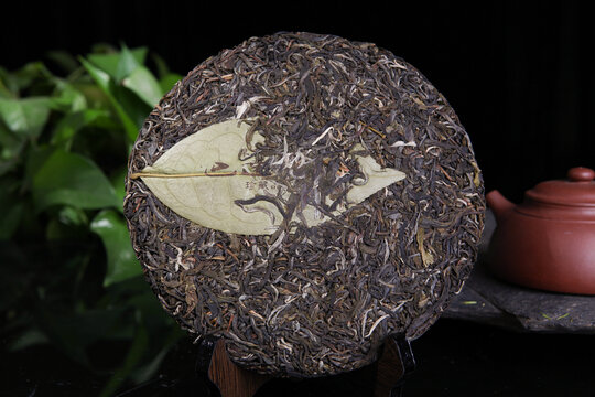 云南普洱茶生茶