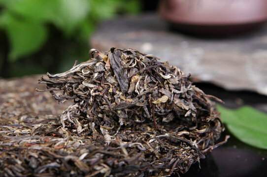 云南普洱茶生茶